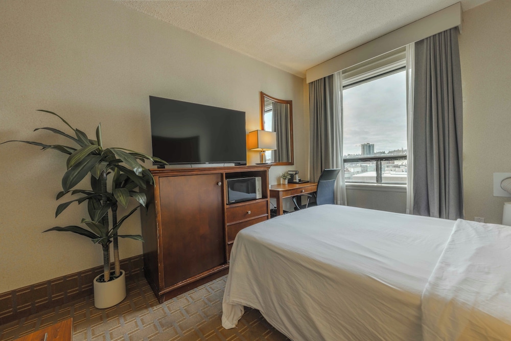 City, Double Bed
