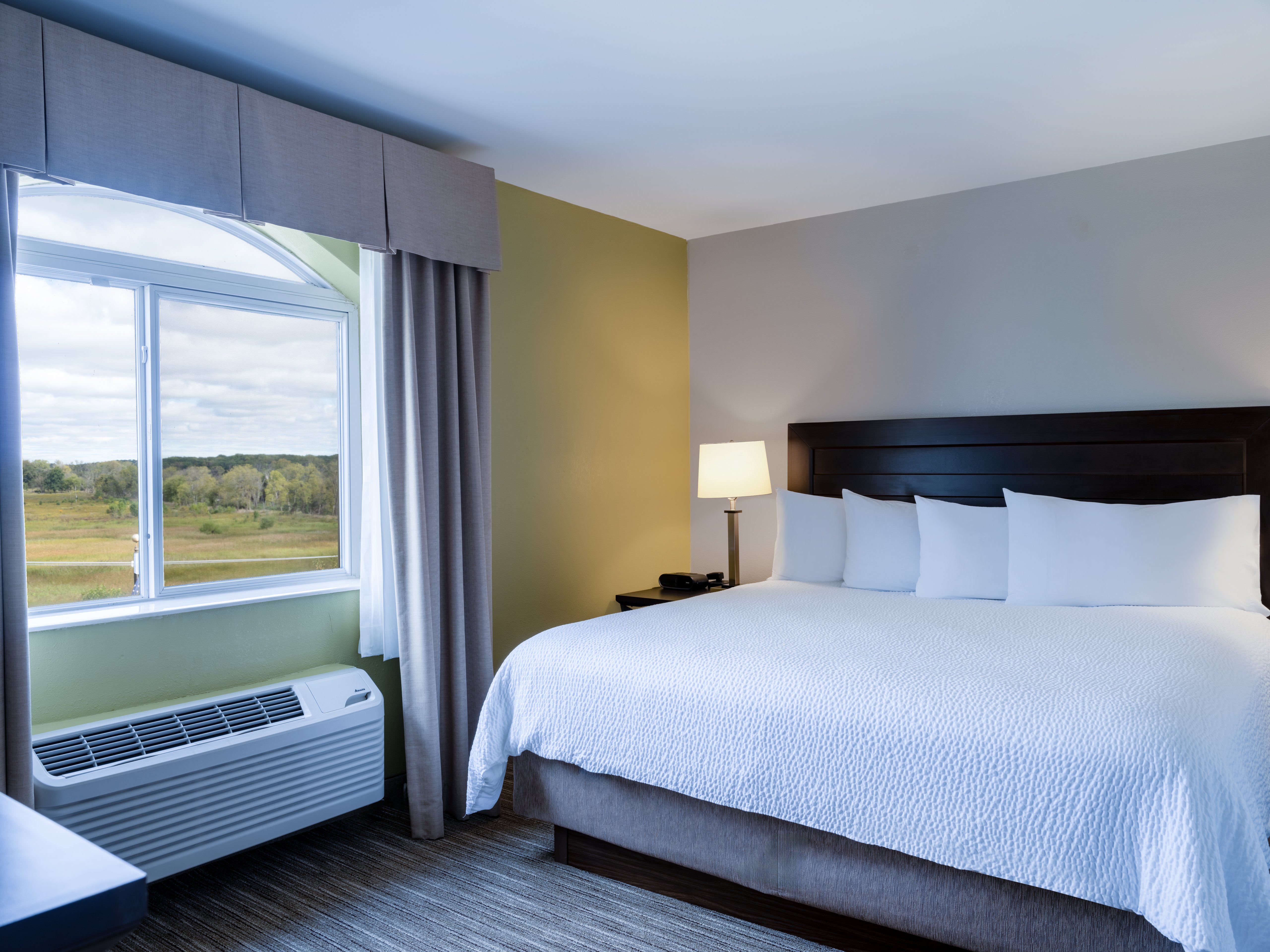 Suite, King Bed