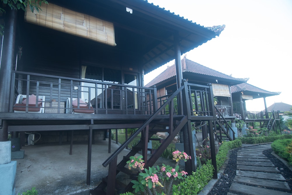 Bali Belva 16/66