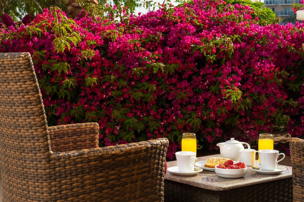 Movenpick Resort & Spa El Gouna 60/74