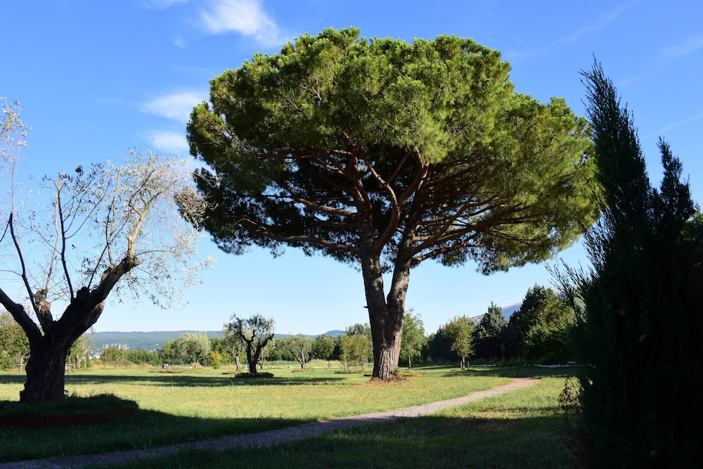 Hotel Salus Terme - Adults Only 65/70