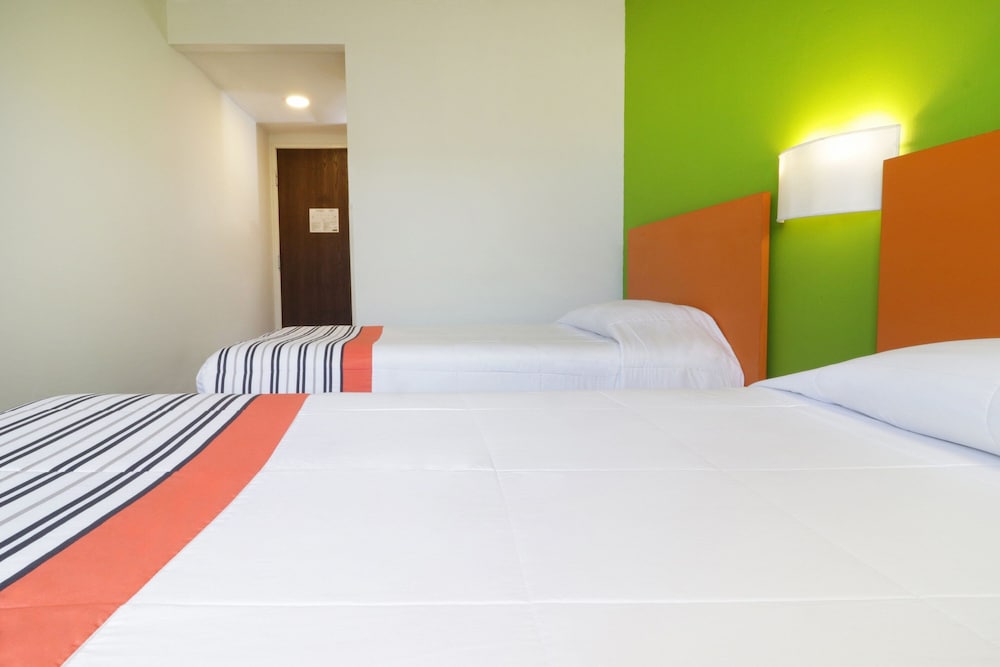 City Express Junior by Marriott Toluca Aeropuerto 21/50