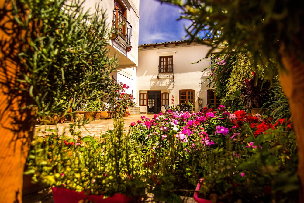 Hotel Asturias 7/56