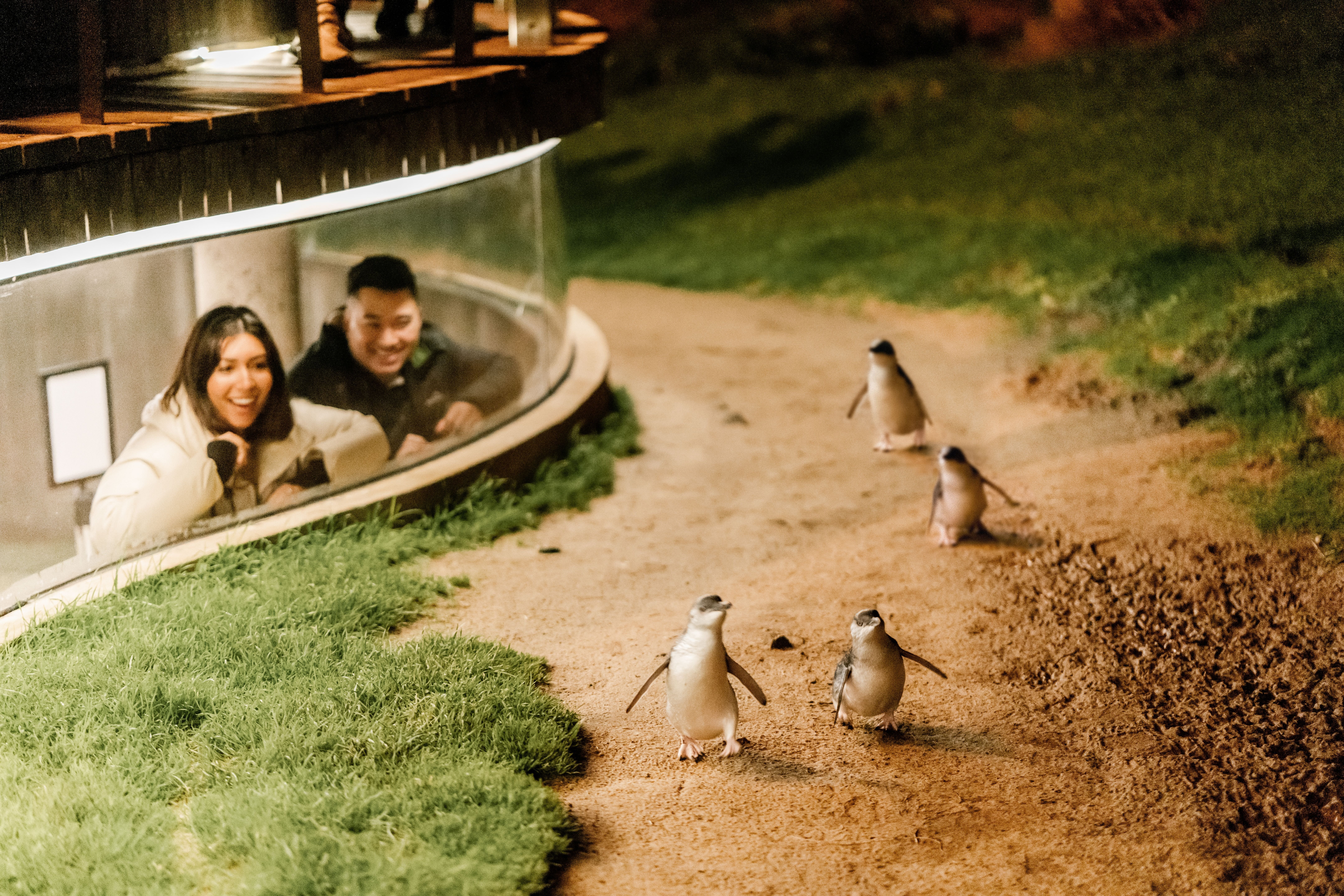 Holiday Inn Dandenong an IHG Hotel 46/50