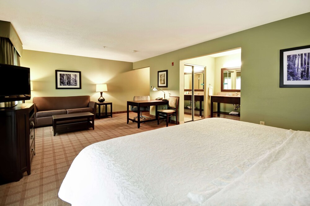 Hampton Inn Suites Detroit Canton 19/89
