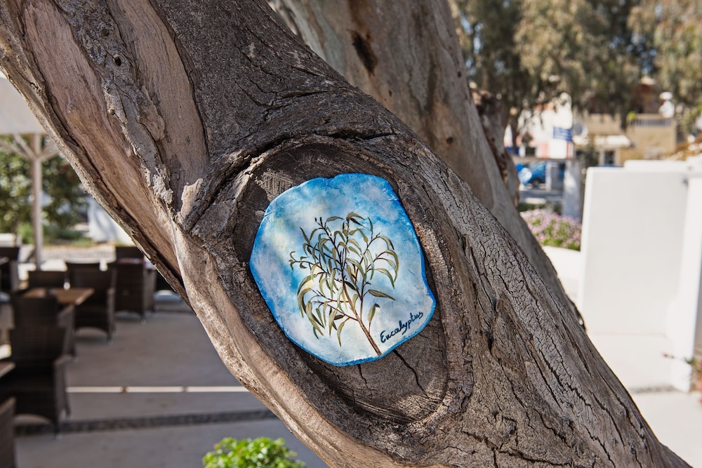 Hotel Eucalyptus 38/47