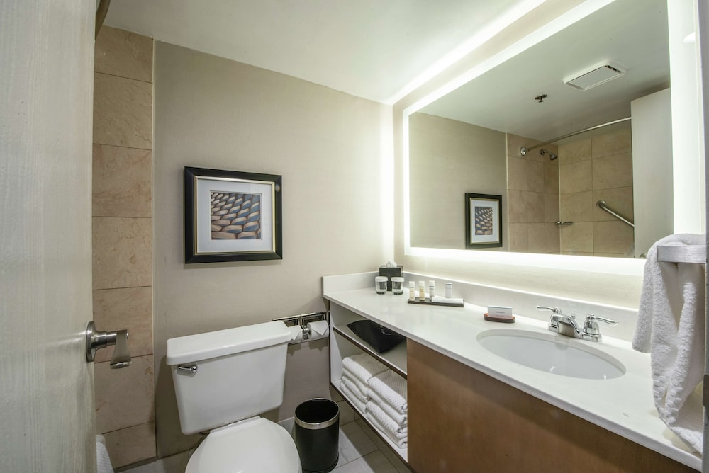 Embassy Suites by Hilton Chicago Schaumburg Woodfield 20/55