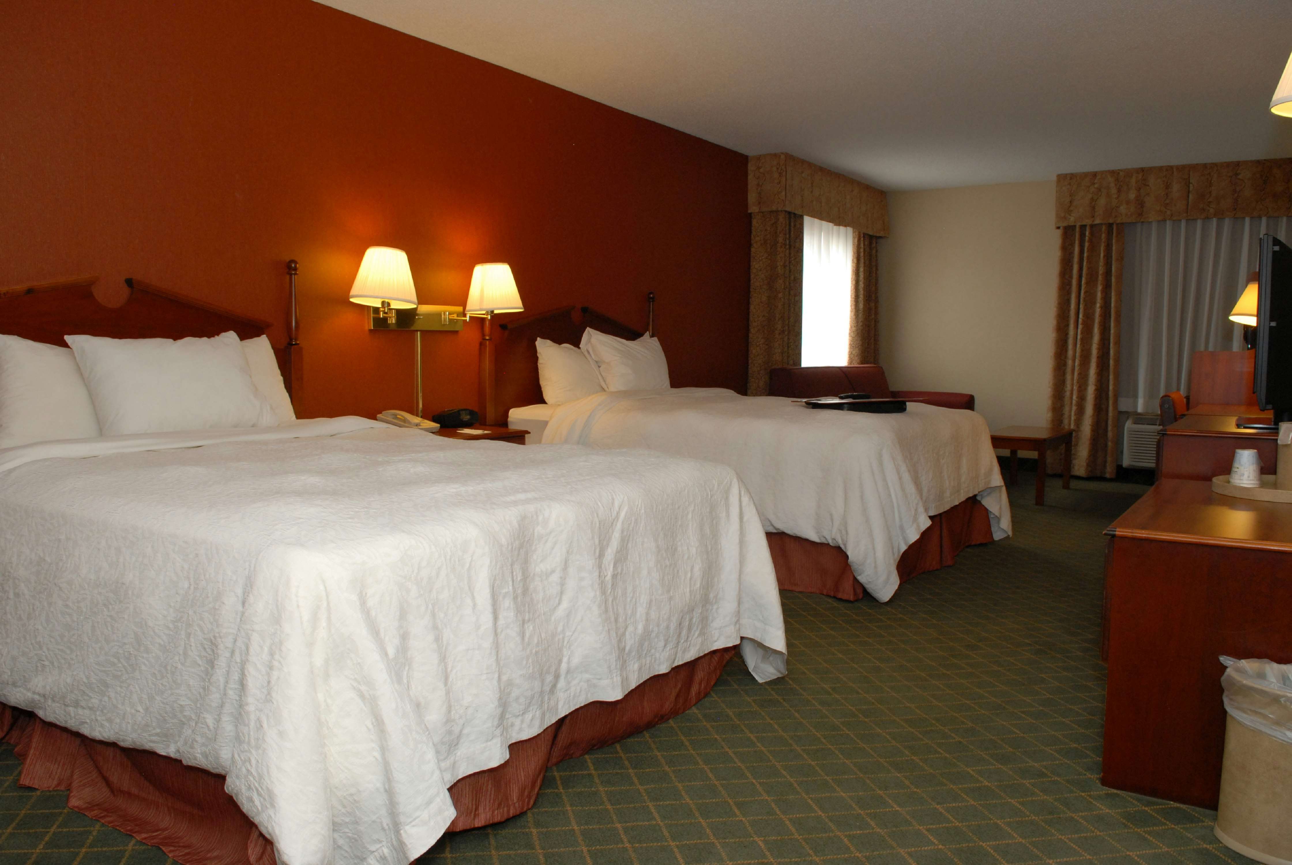 Hampton Inn Birch Run/Frankenmuth 14/64
