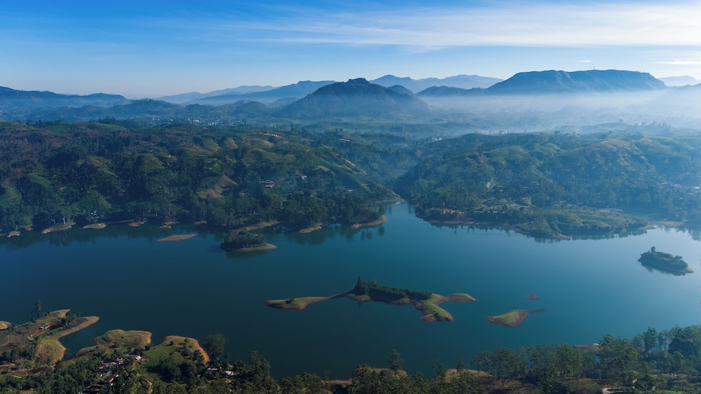 Camellia Hills 47/58
