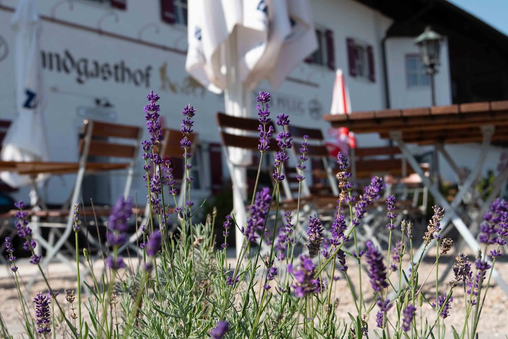 Landgasthof Goldener Pflug 46/54