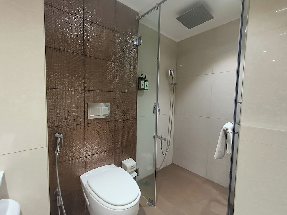 Effotel By Sayaji Indore 66/68