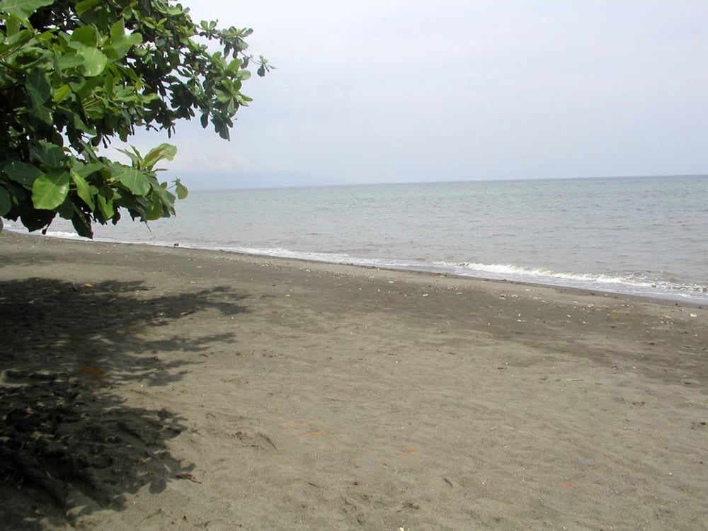 Frangipani Beach Villa 61/68