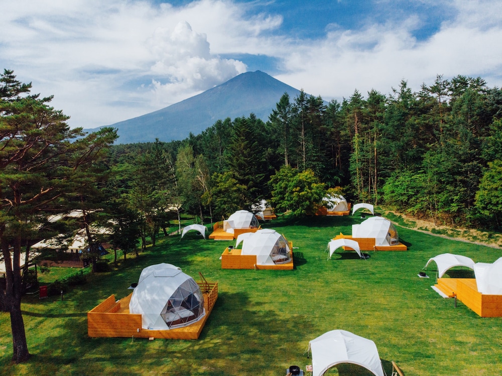 Pica Fujiyama 38/44