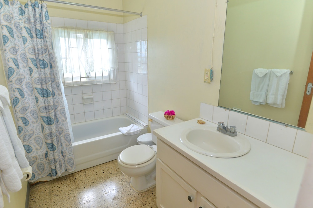 Palm View Guesthouse and Conference Centre 41/42