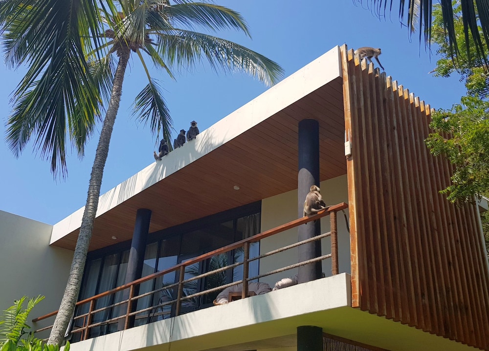Lankavatara Ocean Retreat & Spa 3/50