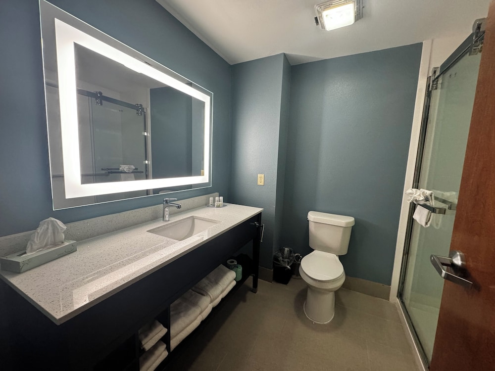 Wingate by Wyndham College Station TX 56/58