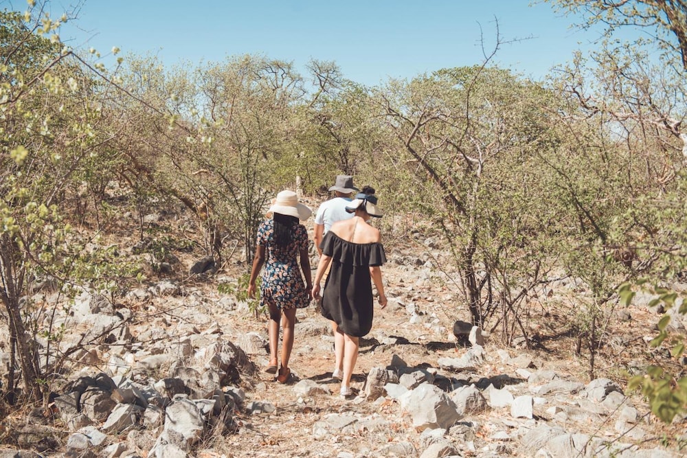 Etosha Safari Camp 36/42