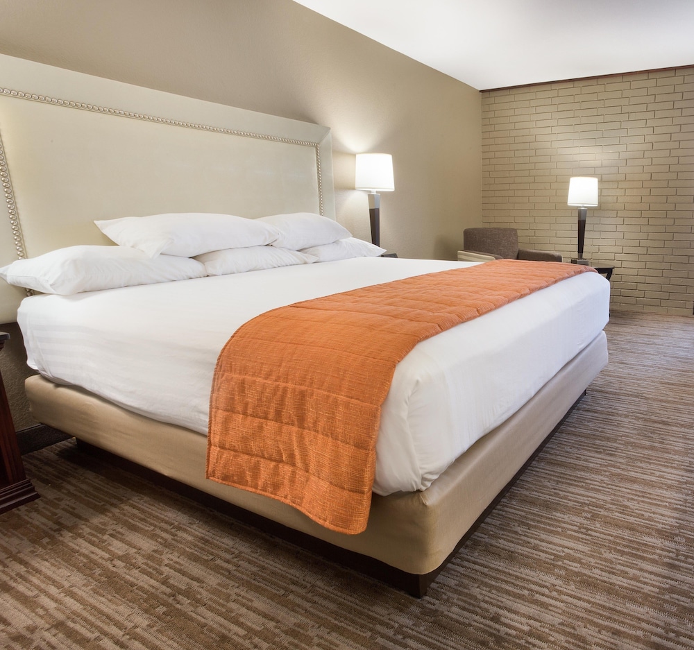 Deluxe, King Bed