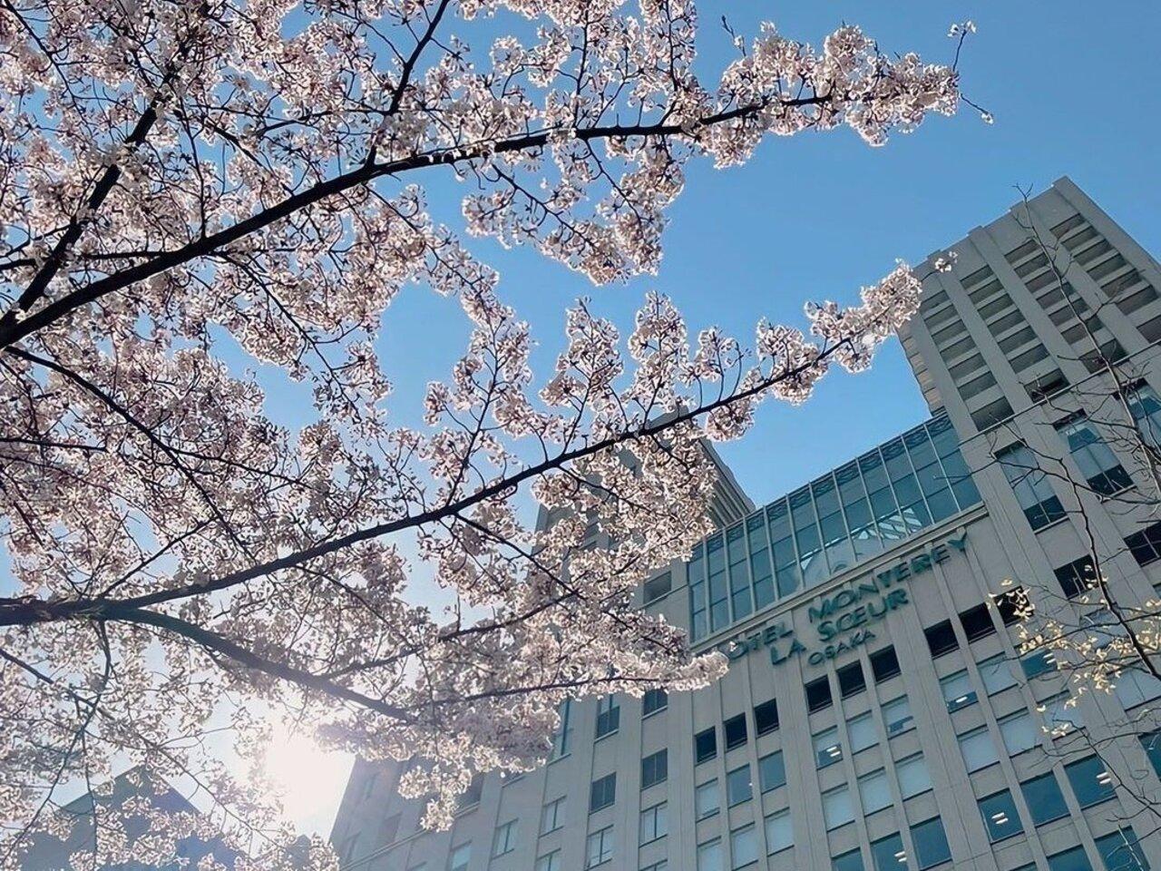 Hotel Monterey La Soeur Osaka in OSAKA