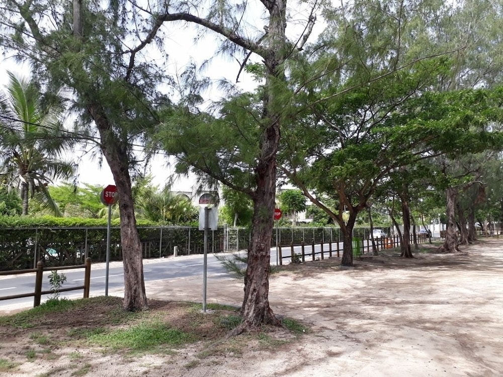 Allamanda Studios And Apartments 20/44