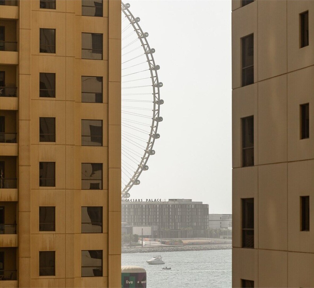 Academia Land JBR 55/69