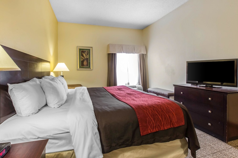 Comfort Inn and Suites Thomson 17/36