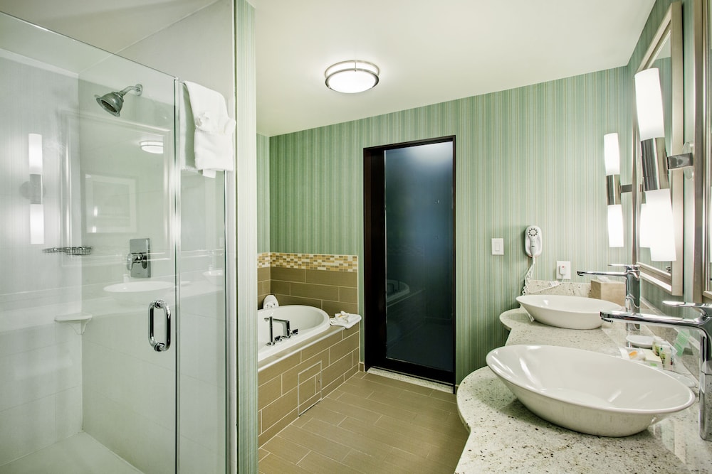 Holiday Inn Saskatoon Downtown 21/75