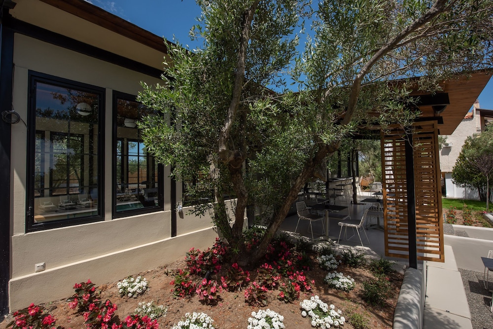 Elies 33 Bio Retreat - Adults Only 24/25