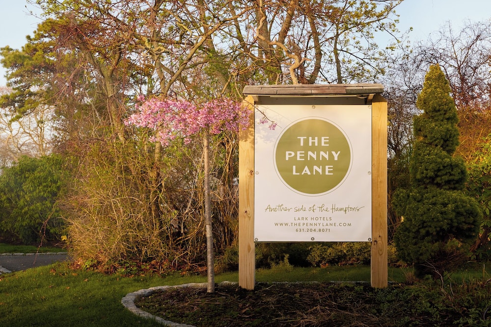The Penny Lane 8/20