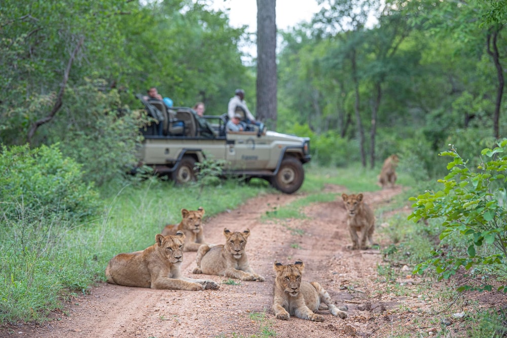 Kapama Buffalo Camp 33/37