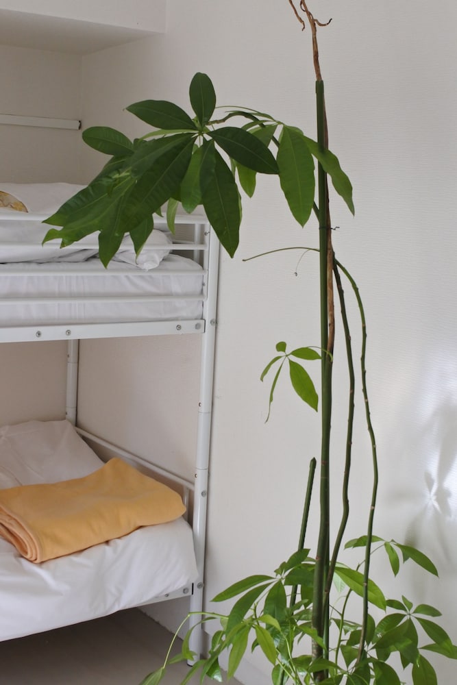 Kagoshima Guest House M104 - Hostel 32/50