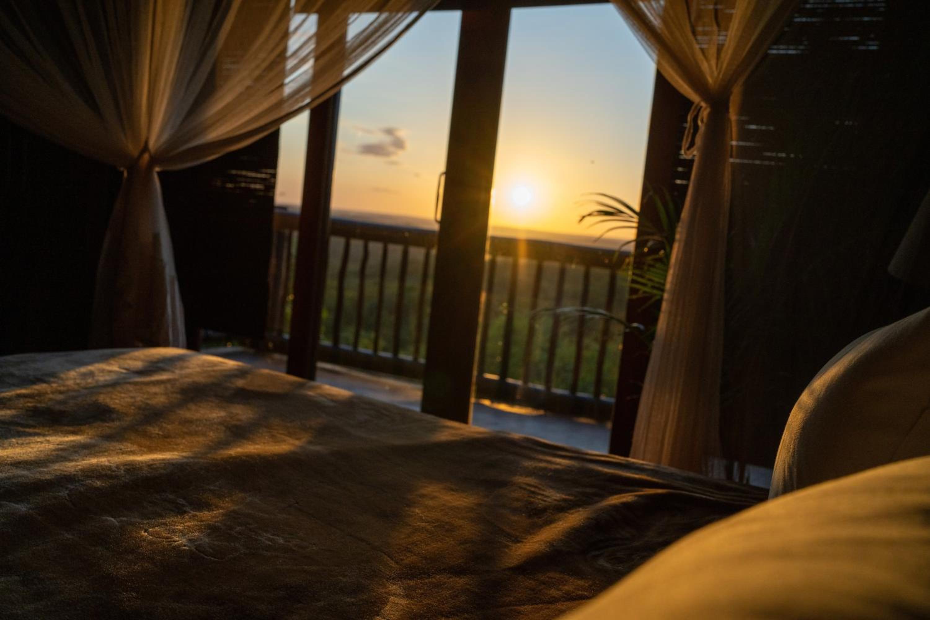 Elephant Game Lodge 34/56