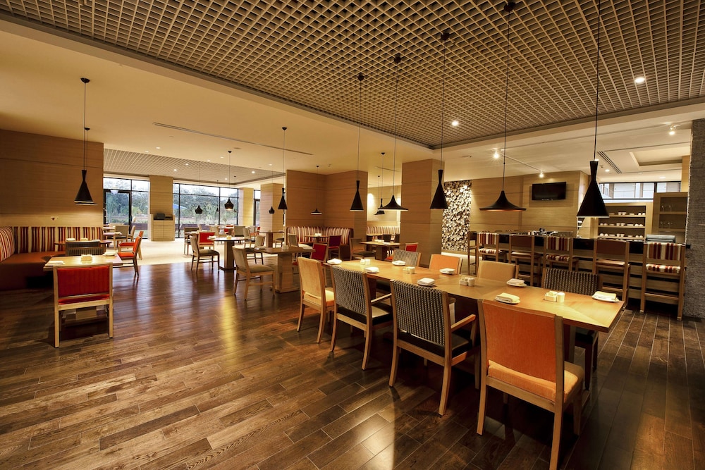 HYATT PLACE HAMPI 61/78
