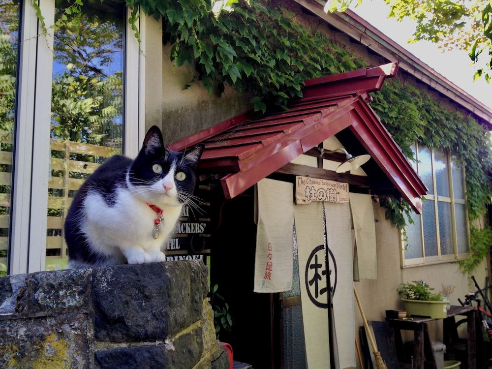 Otarunai Backpackers' Hostel Morinoki 3/48