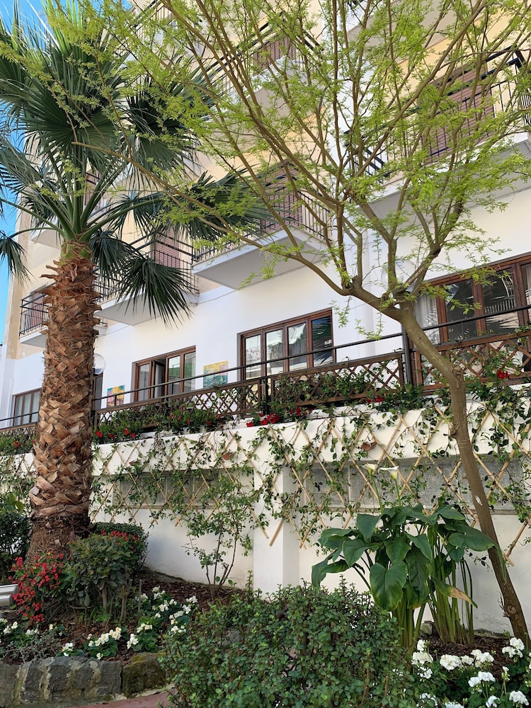 Hotel Conte 55/62
