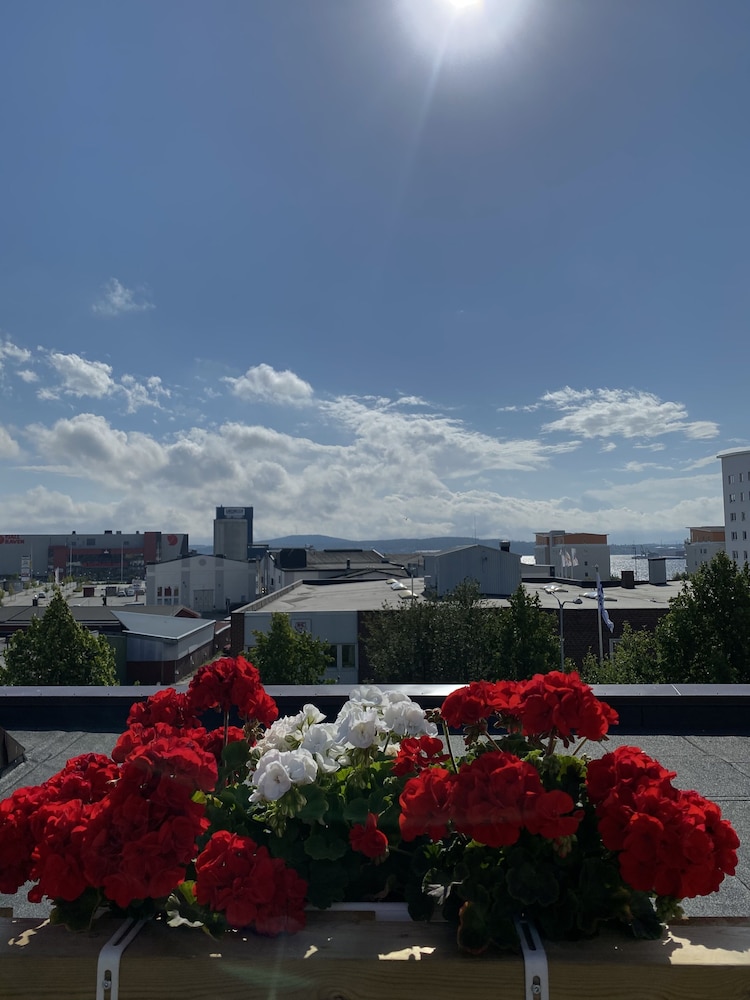 Strand City Hotell 3/50