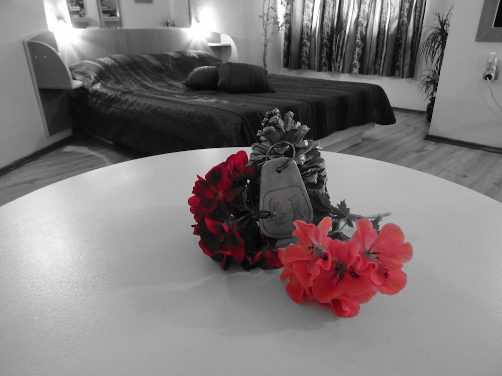 Hotel Color Varna Center 27/54