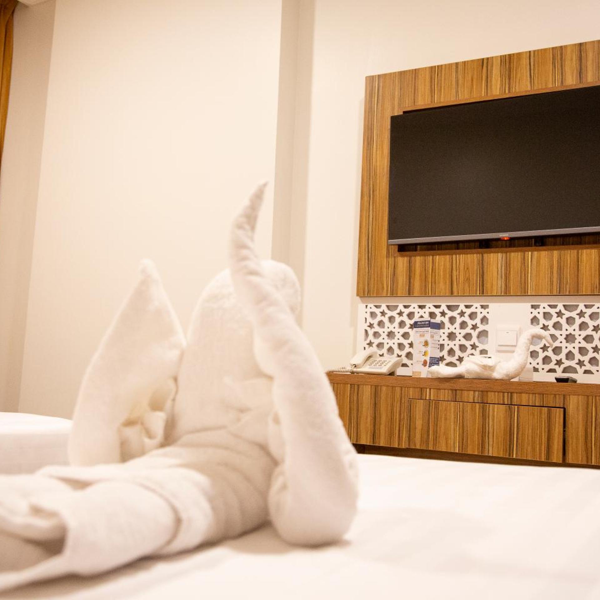 Artal Taiba Hotel 31/50