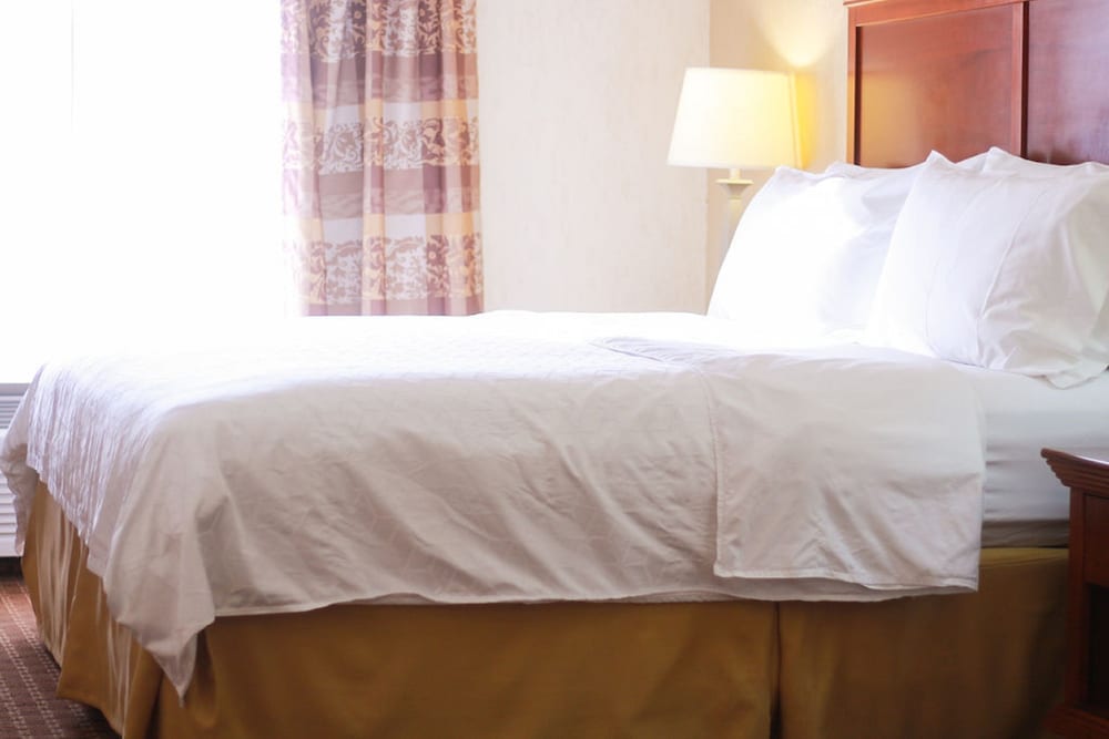 Holiday Inn Express Hotel And Suites Center Tx 24/76