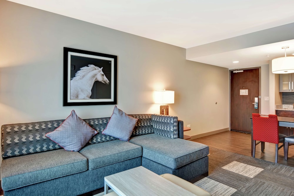 Homewood Suites By Hilton Techridge Parmer I 35 42/63