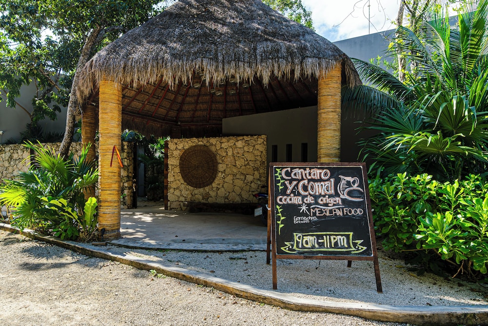 Kuun Taak Tulum 1/50