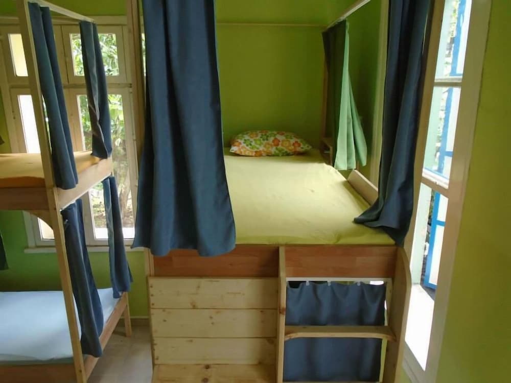 Lotus花园旅舍(Lotus Garden Hostel) 图片3
