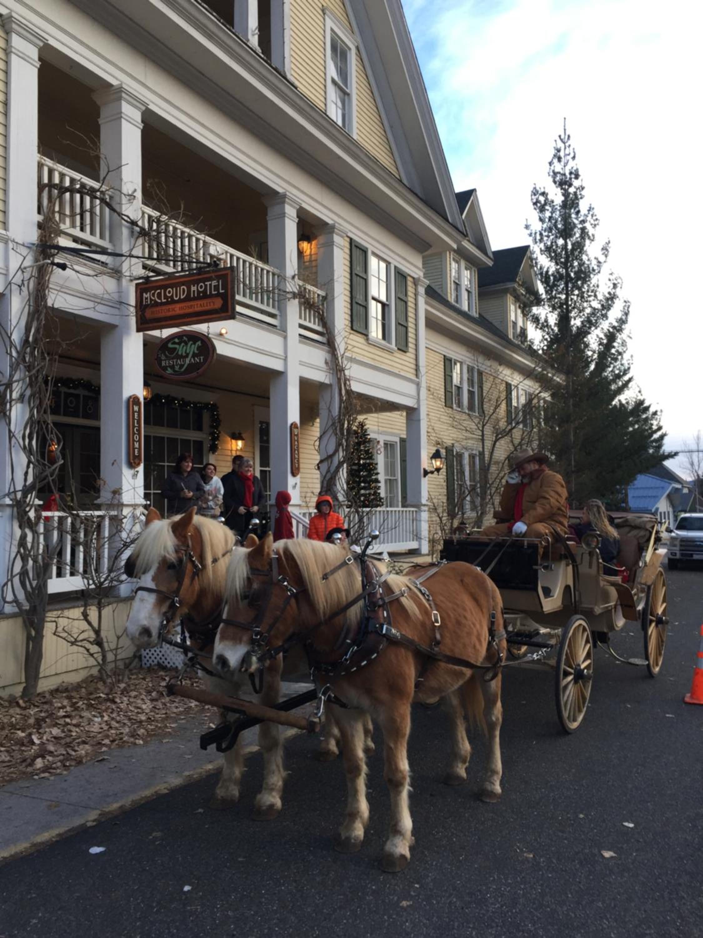 McCloud Hotel 38/50