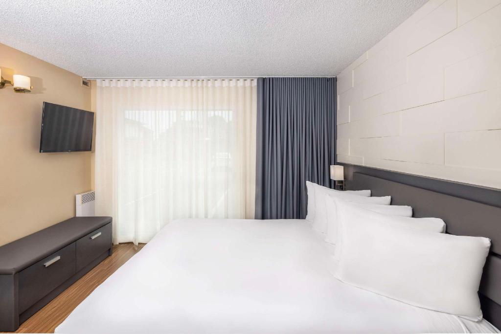 Upgrade, Suite, King and Queen Bed