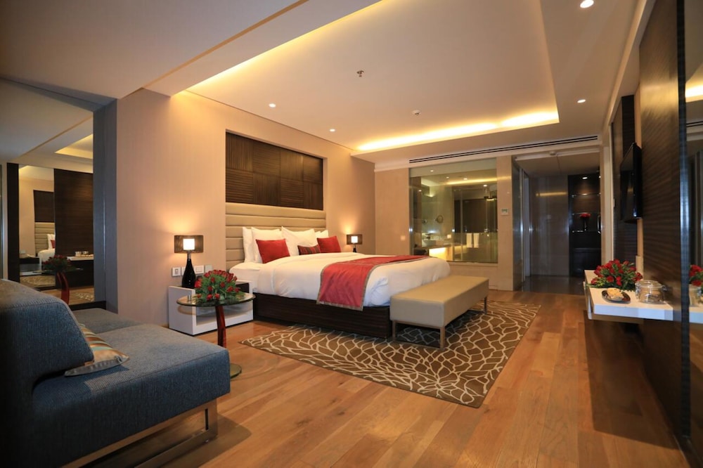 RADISSON UDAIPUR 14/69