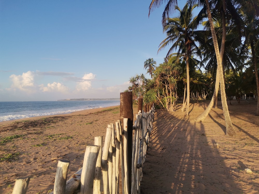 Darwins Beach Resort 47/50