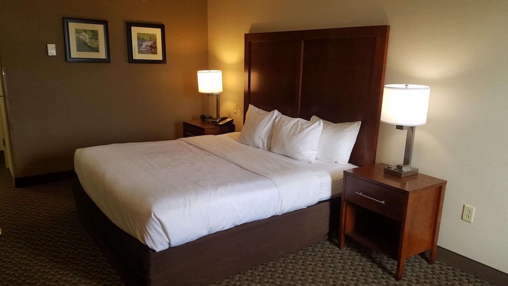 Comfort Inn Airport Roanoke VA 21/53