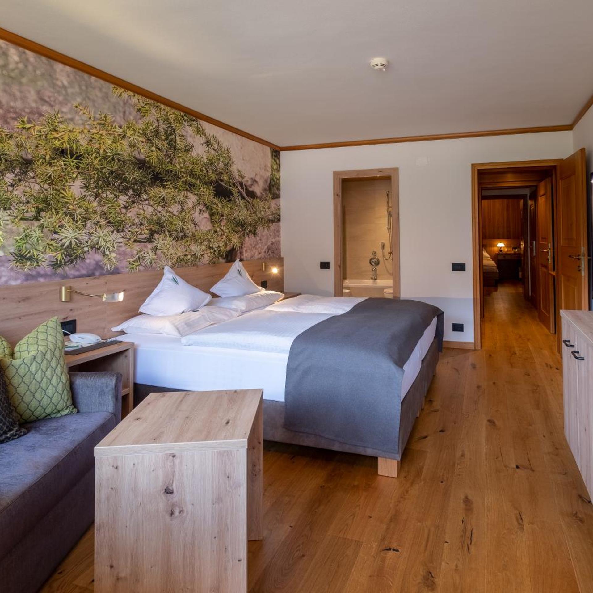 جناح عائلي بغرفتي نوم، Hotel Grien 2/5