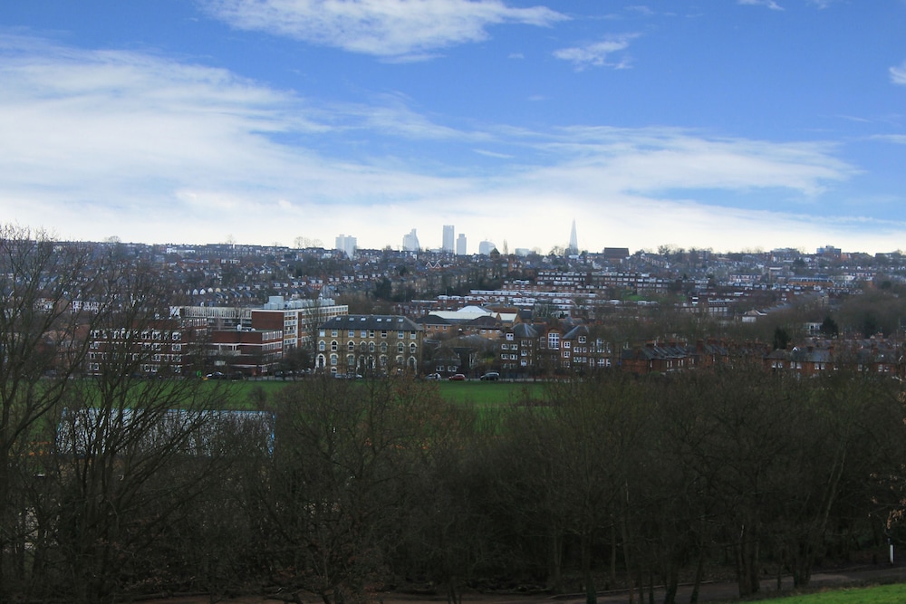 Roseview Alexandra Palace Hotel 41/50
