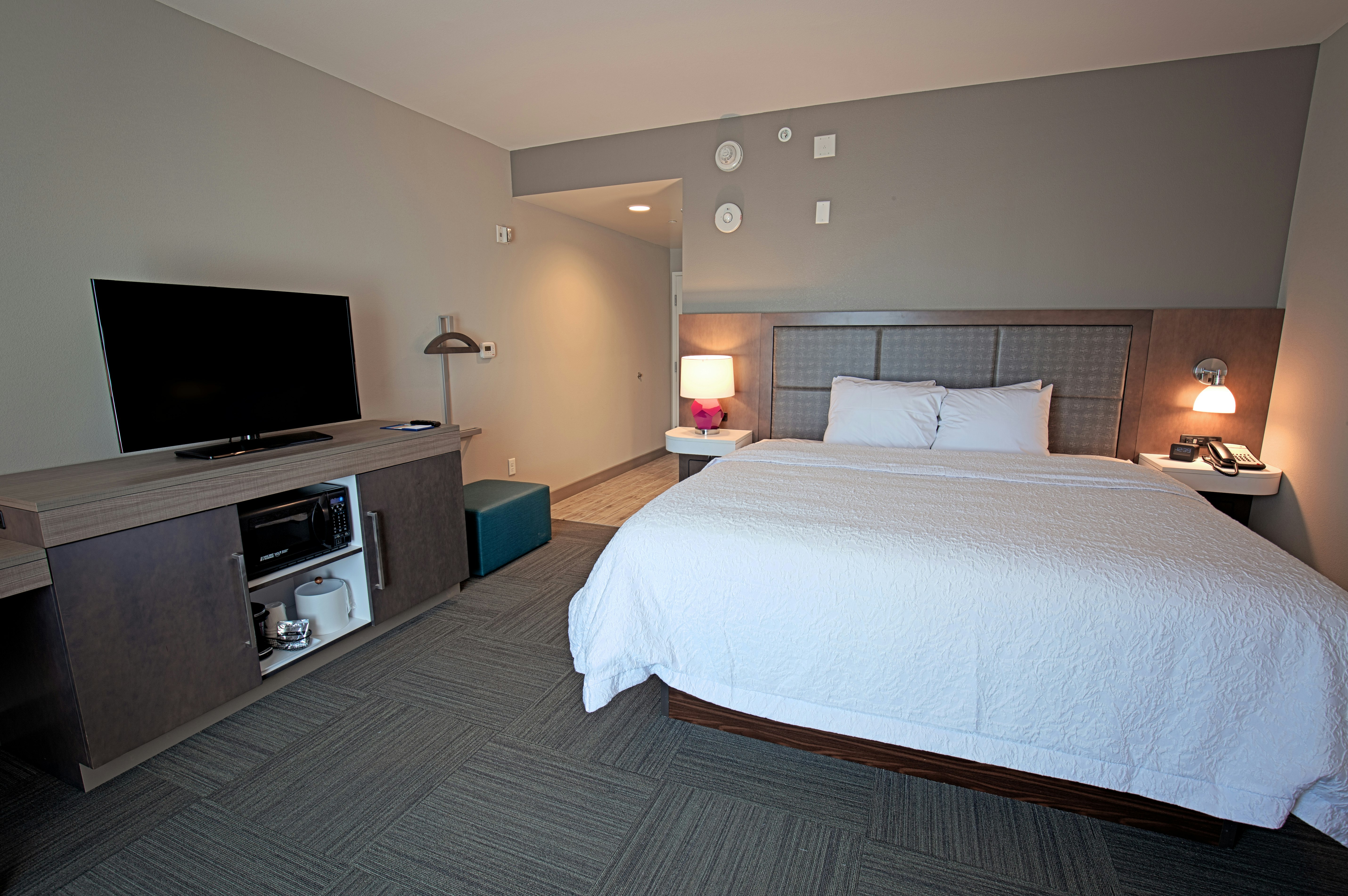Hampton Inn & Suites Asheville Biltmore Area, NC 13/46
